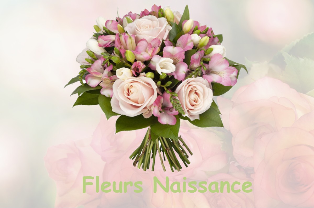 fleurs naissance SAINT-LOTHAIN